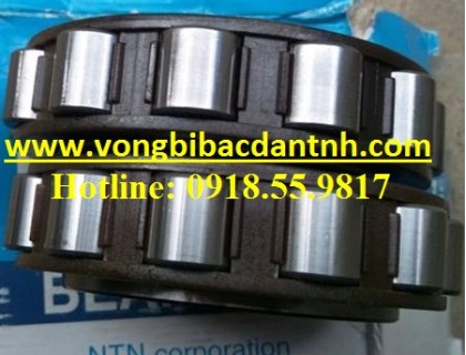 BẠC ĐẠN LỆCH TÂM NTN NHẬT